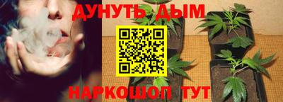 сатива Наро-Фоминск