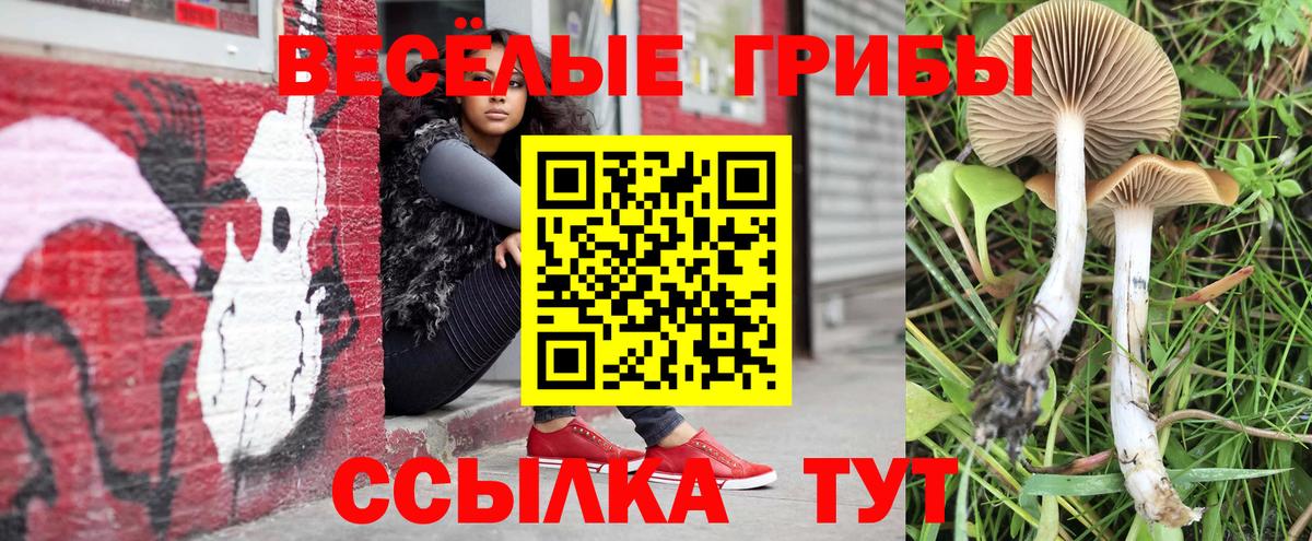 Сургут  Псилоцибиновые грибы GOLDEN TEACHER  хочу наркоту  Вход с VPN 