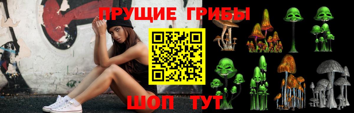 Галлюциногенные грибы GOLDEN TEACHER Сургут